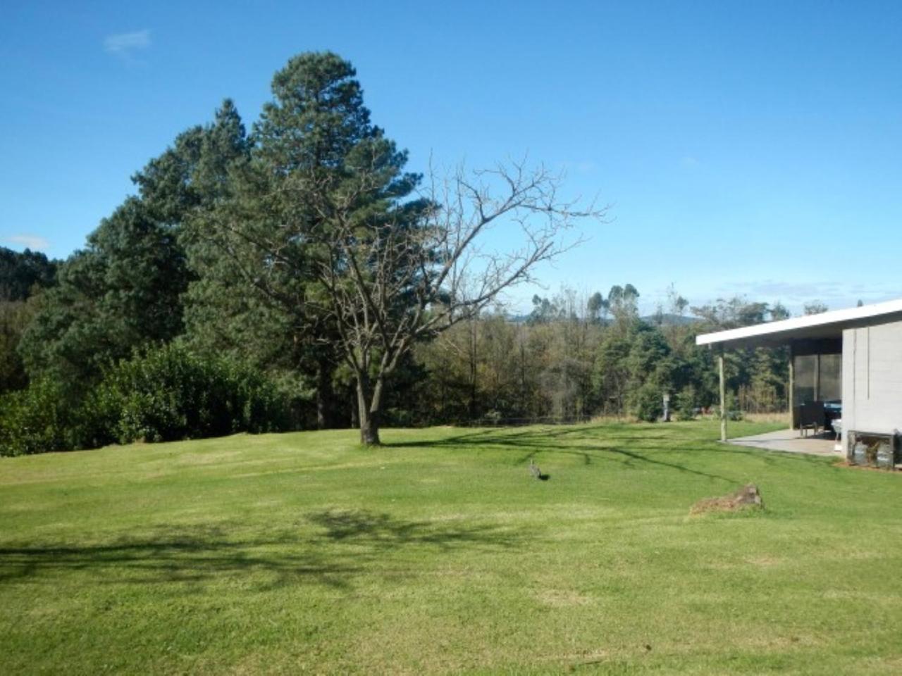 The Falls Cottages Howick Exterior foto